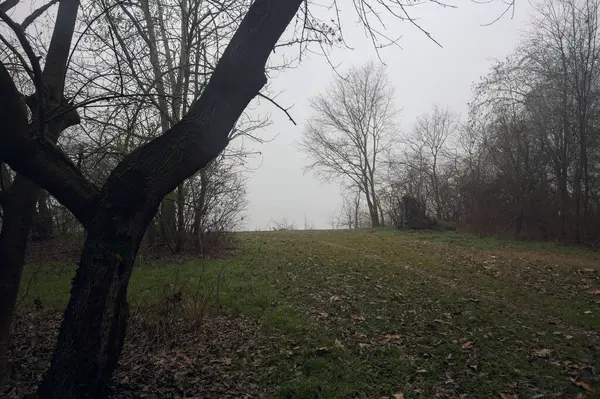 Sisteki bir göle giden toprak yol.