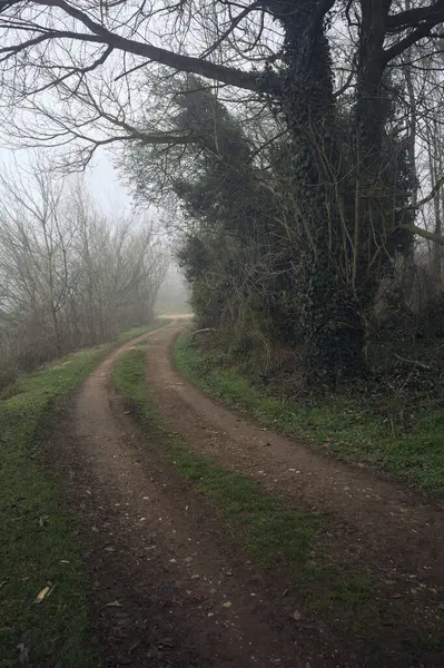 Göl kıyısındaki bir parkta toprak patika.