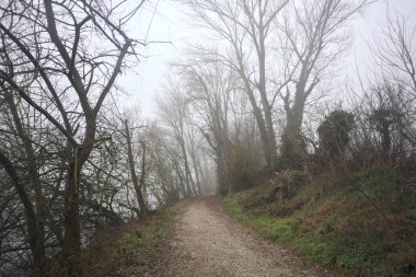 Göl kıyısındaki bir parkta toprak patika.