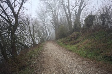 Göl kıyısındaki bir parkta toprak patika.