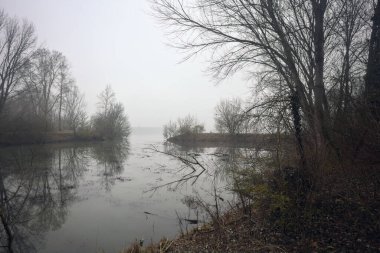 Sisli bir günde parkta körfez