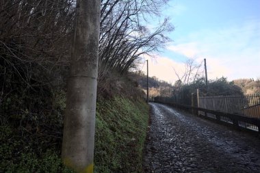 Ormandaki yamaçta kaldırımlı patika.