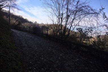 Ormandaki yamaçta kaldırımlı patika.