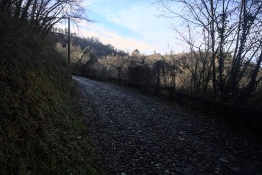 Ormandaki yamaçta kaldırımlı patika.