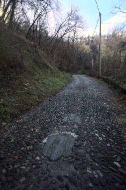Ormandaki yamaçta kaldırımlı patika.