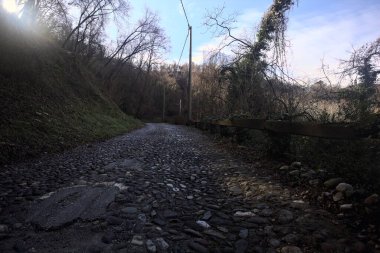 Ormandaki yamaçta kaldırımlı patika.