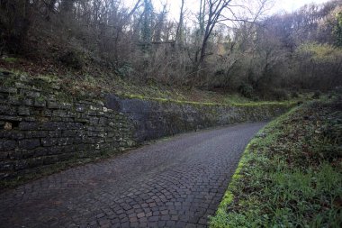 Ormandaki kaldırımlı bir yolda kavis.