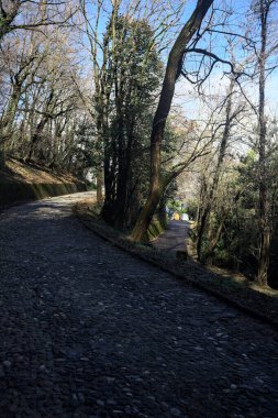 Dağdaki bir ormanda yolları ayırmak.