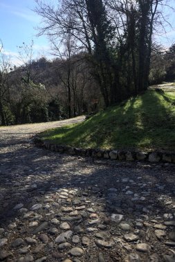 Gündüz vakti ormanda kaldırımlı bir yol