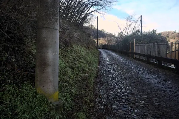 Ormandaki yamaçta kaldırımlı patika.