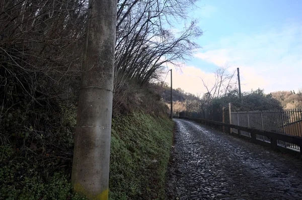 Ormandaki yamaçta kaldırımlı patika.