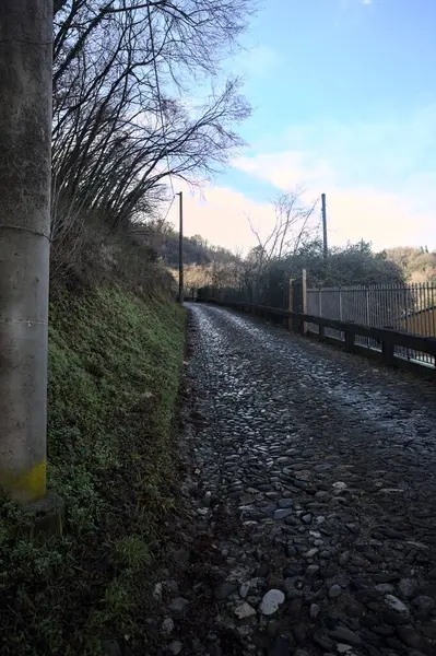 Ormandaki yamaçta kaldırımlı patika.