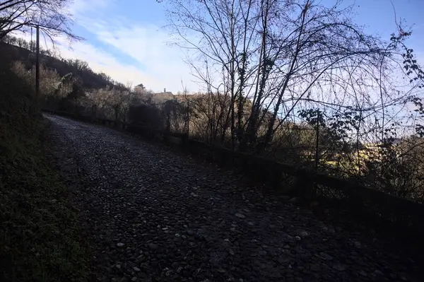 Ormandaki yamaçta kaldırımlı patika.