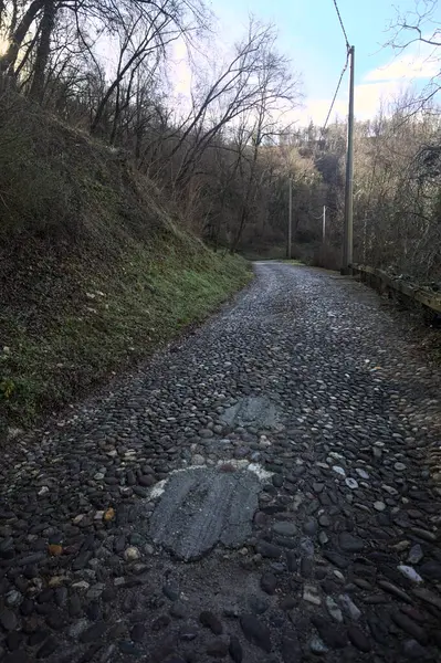 Ormandaki yamaçta kaldırımlı patika.