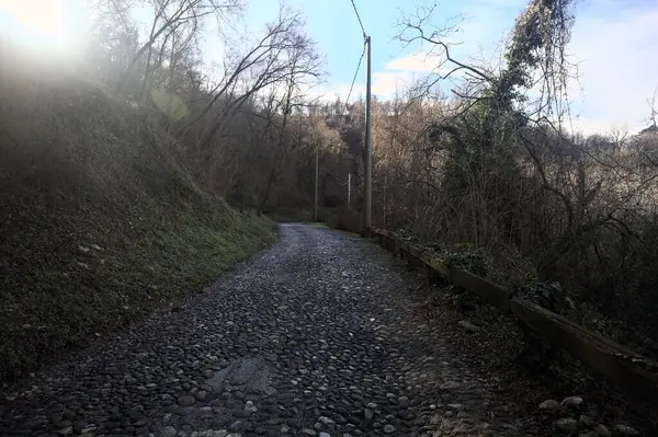 Ormandaki yamaçta kaldırımlı patika.