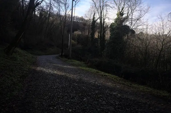 Ormandaki yamaçta kaldırımlı patika.