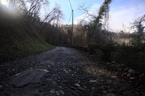 Ormandaki yamaçta kaldırımlı patika.