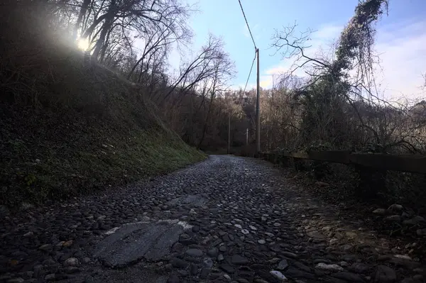 Ormandaki yamaçta kaldırımlı patika.