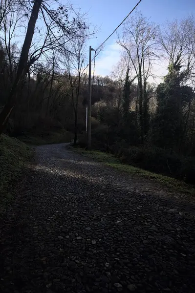 Ormandaki yamaçta kaldırımlı patika.