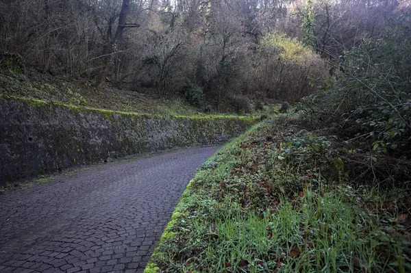 Curve on a cobbled road in a forest