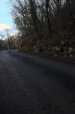 Dağdaki ormanda gölgeli bir yol