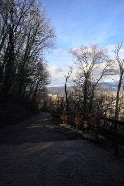 Ormandaki bir yamaçta kaldırımlı yol