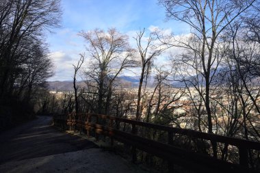 Ormandaki bir yamaçta kaldırımlı yol