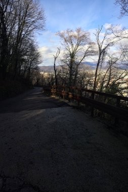 Ormandaki bir yamaçta kaldırımlı yol