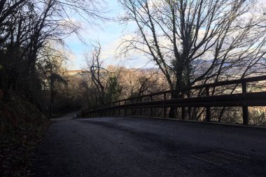 Ormandaki bir yamaçta kaldırımlı yol