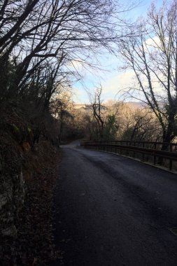 Dağdaki ormanda gölgeli bir yol