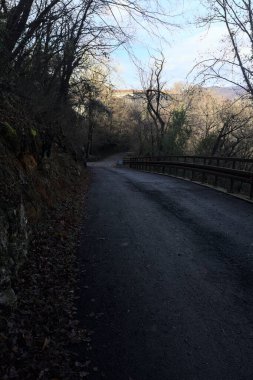 Dağdaki ormanda gölgeli bir yol