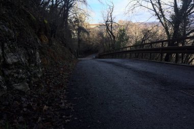 Ormandaki bir yamaçta kaldırımlı yol