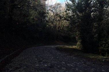 Dağdaki ormanda gölgeli bir yol