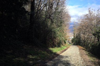 Ormandaki bir yamaçta kaldırımlı yol