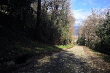 Ormandaki bir yamaçta kaldırımlı yol