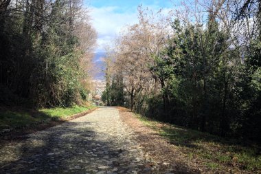 Ormandaki bir yamaçta kaldırımlı yol