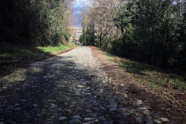 Ormandaki bir yamaçta kaldırımlı yol