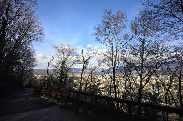 Ormandaki bir yamaçta kaldırımlı yol