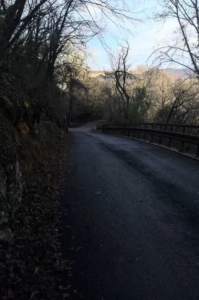 Dağdaki ormanda gölgeli bir yol