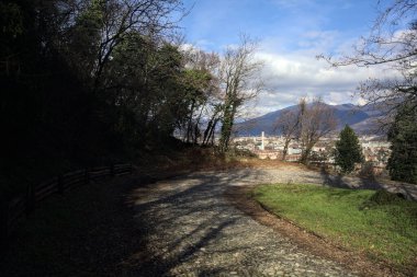 Ormandaki bir yamaçta kaldırımlı yol