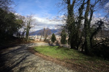 Ormandaki bir yamaçta kaldırımlı yol