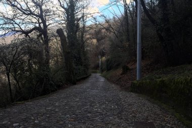 Dağdaki ormanda gölgeli bir yol