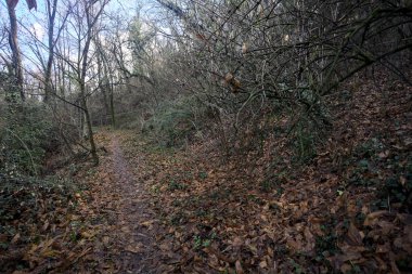 Sonbaharda yamaçta çamurlu patika