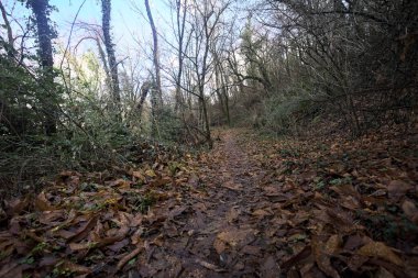 Sonbaharda yamaçta çamurlu patika