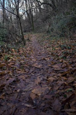 Sonbaharda yamaçta çamurlu patika