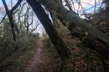 Sonbaharda yamaçta çamurlu patika