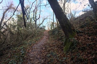 Sonbaharda yamaçta çamurlu patika