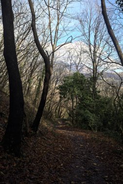 Sonbaharda yamaçta çamurlu patika