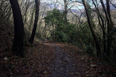 Sonbaharda yamaçta çamurlu patika