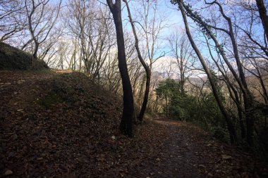 Sonbaharda yamaçta çamurlu patika